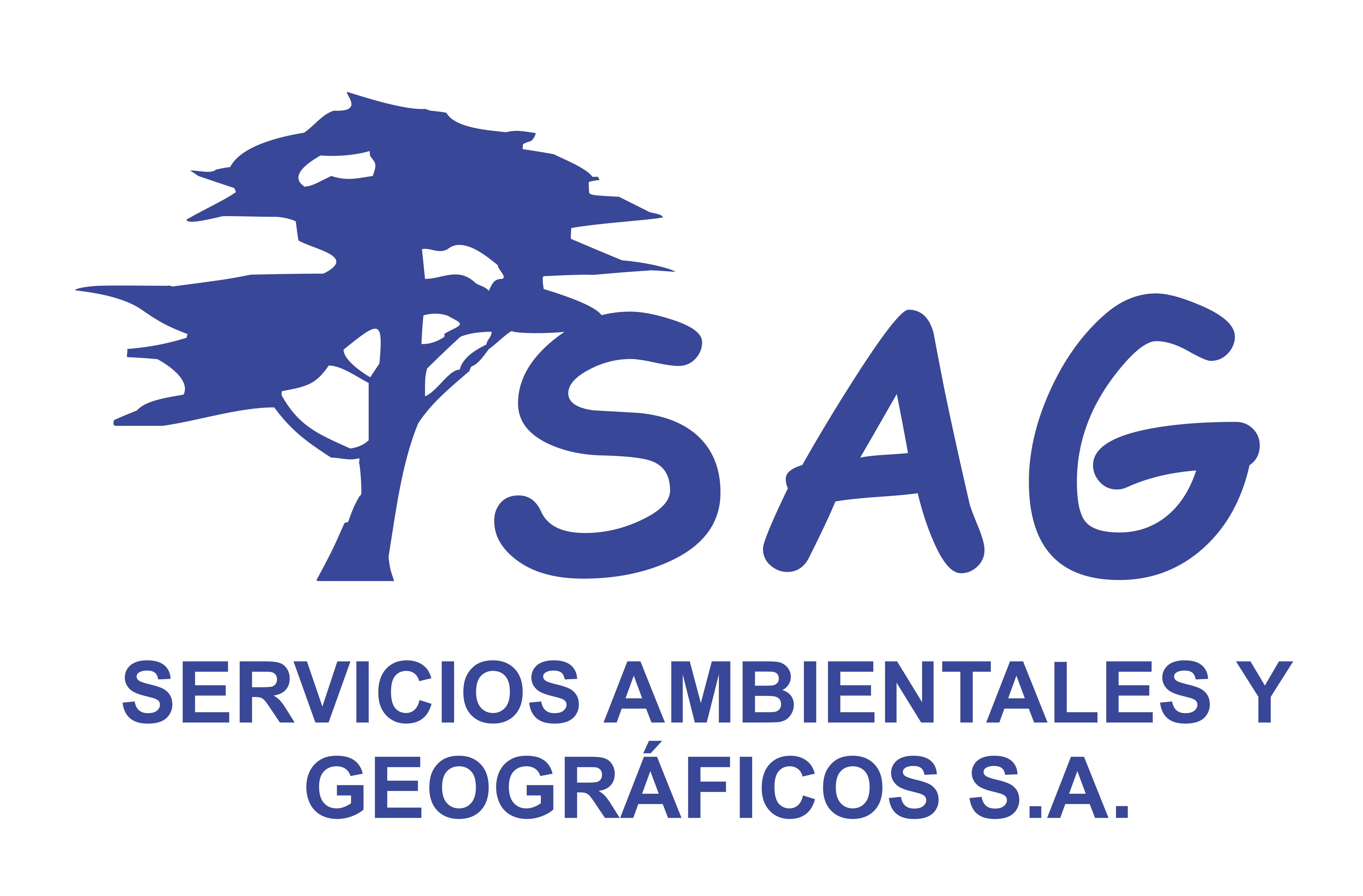 Logo Servicios Ambientales y Geográficos S.A.